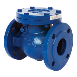 Cast Steel Check Valves