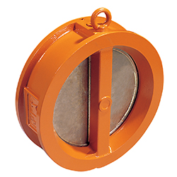 Wouter Witzel Check Valves