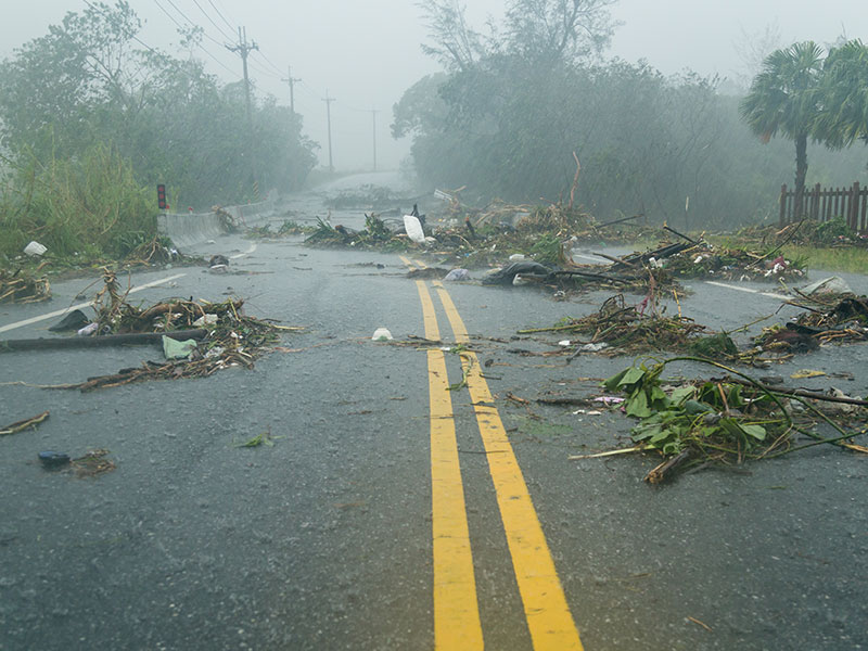 Hurricane damage